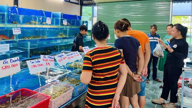 Thực khách lựa hải sản tận bể tại nhà hàng Biển Xanh